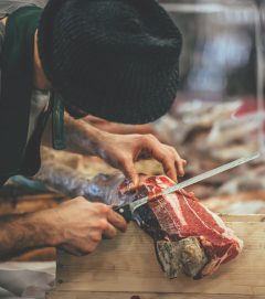 Proin lacinia auctor